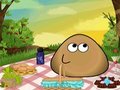 Pou Picnic