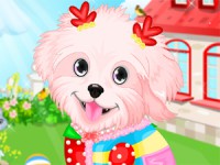 Fluffy Puppy Pet Spa And Care