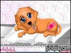 play Dog Health Care