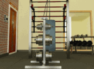 play The Gym Escape