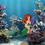Release The Mermaid