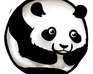 play Panda Pounce
