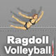 play Ragdoll Volleyball