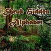 play Shrub Hidden Alphabet