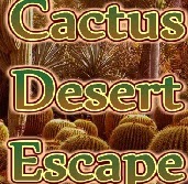 play Wow Cactus Desert Escape