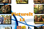 play Picture It 12