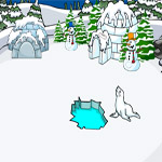 Penguin From Igloo House