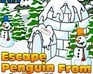 Escape Penguin From Igloo House