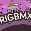 play Rigbmx