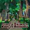 play Jungle Animals