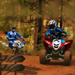 play Forest Atv Challenge