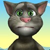 play Play Talking Tom Picnic