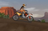 play Ultimate Dirtbike Usa