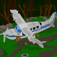 play Crashed Plane Escape