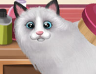 play Paws To Beauty: 2