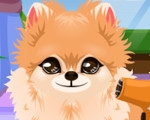 play Puppy Groomer