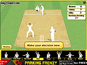 play Cricket Umpire Decision