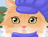 play Kitty Groomer