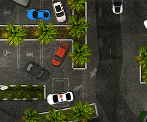Tropical Police Parking