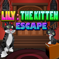 Lily The Kitten Escape