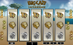 Slots: Big Cats