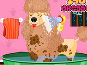 Cute Poodle Spa Day