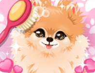 play Puppy Groomer