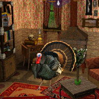 play Turkey Cottage Escape