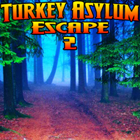 Wowescape Turkey Asylum Escape-2