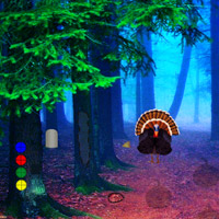 play Turkey Asylum Escape-4