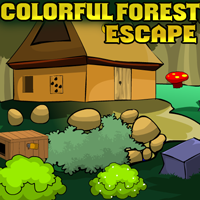play Theescapegames Colorful Forest Escape