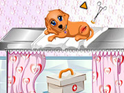 play Dog Health Care