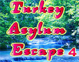 Turkey Asylum Escape 4