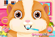 play Fluffy Hamster Salon