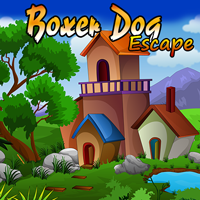 Ena Boxer Dog Escape