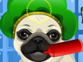 play My Pug Pet Care And Dress Up