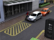 Valet Parking 3D
