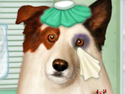 play Doctor For Dog With A Blog Kissing