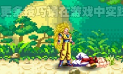 Dragon Ball Fierce Fighting 2.5