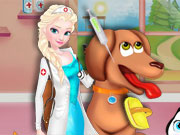 Elsa Animal Hospital