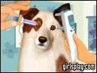 play Dog With A Blog Eye Care