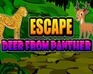 Escape Deer From Panther