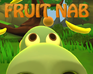 play Fruit Nab