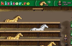 play Arabian Horse Farm