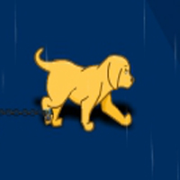 play Dog Rescue From Rain