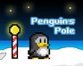 Penguin'S Pole
