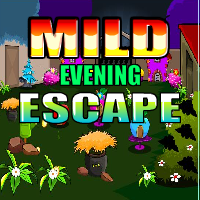 play Yalgames Mild Evening Escape
