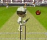 play Flash Cricket 2