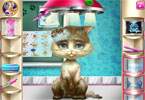 play Kitty Rescue Vet