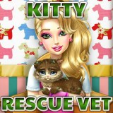 play Kitty Rescue Vet